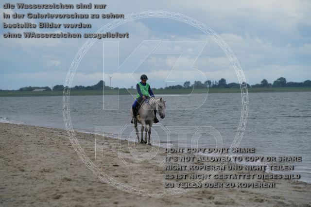 s_K3F04925.JPG
